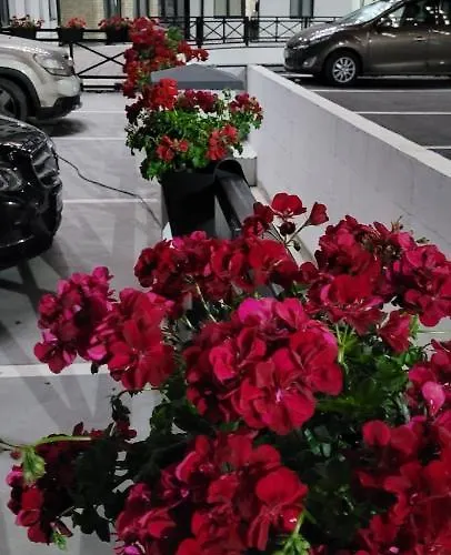 Alf ズラティボール